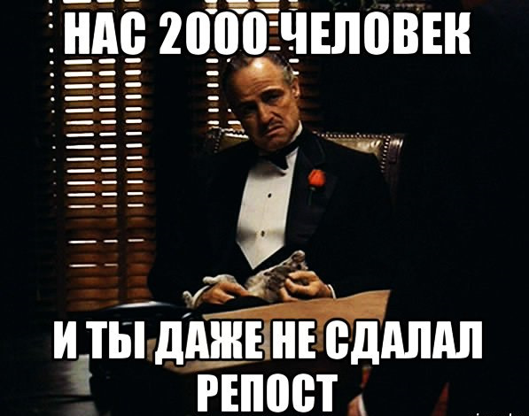 2000 подписчиков картинка