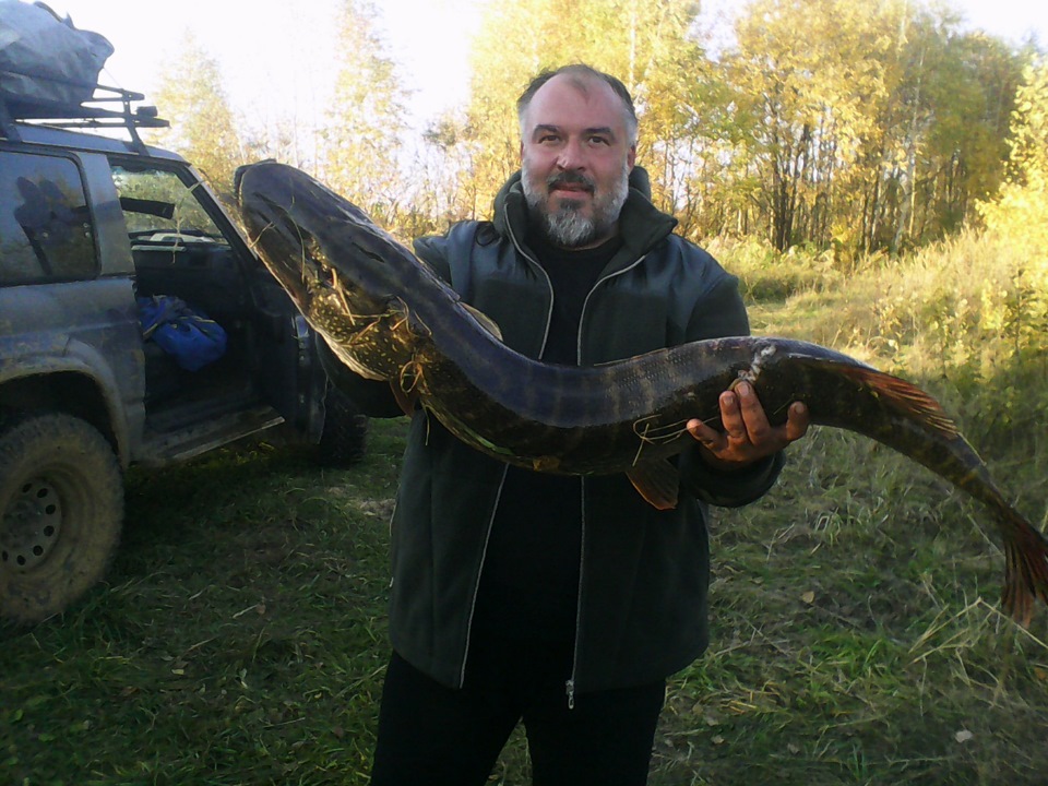 a1a9d02s 960 Как крепить канистру в прицепе