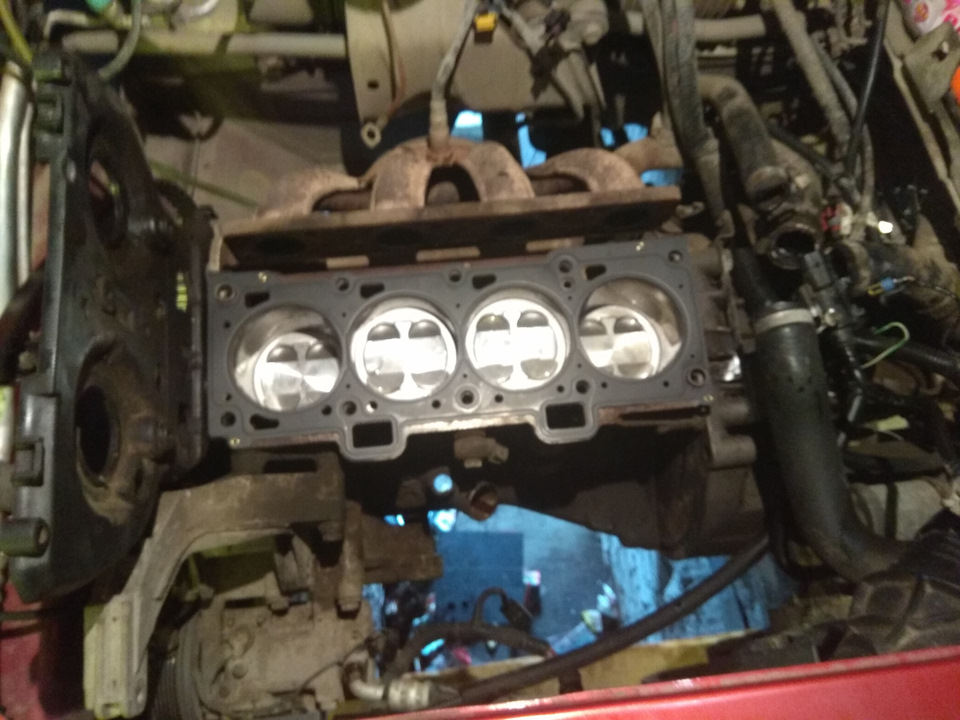 Замена поршней 21126 — Lada Калина хэтчбек, 1,6 л, 2010 года | своими ...