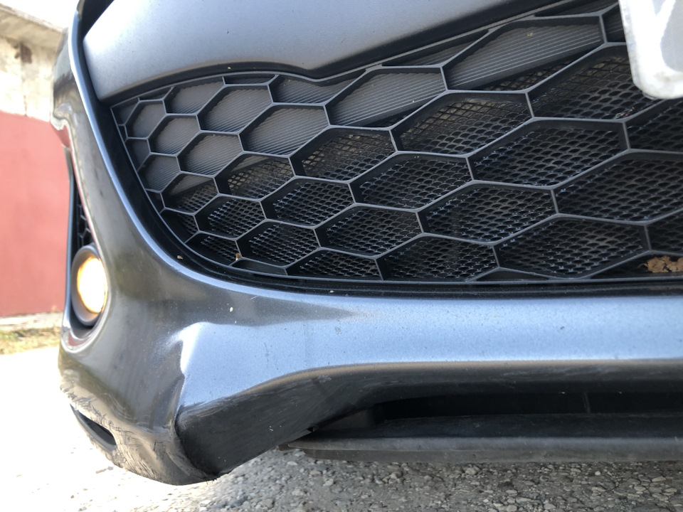 Купить Сетку В Бампер Авто