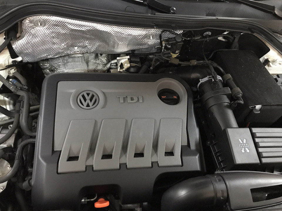 Крысы под капотом, хелп ?! — Volkswagen Tiguan (1G), 2 л, 2013 года ...
