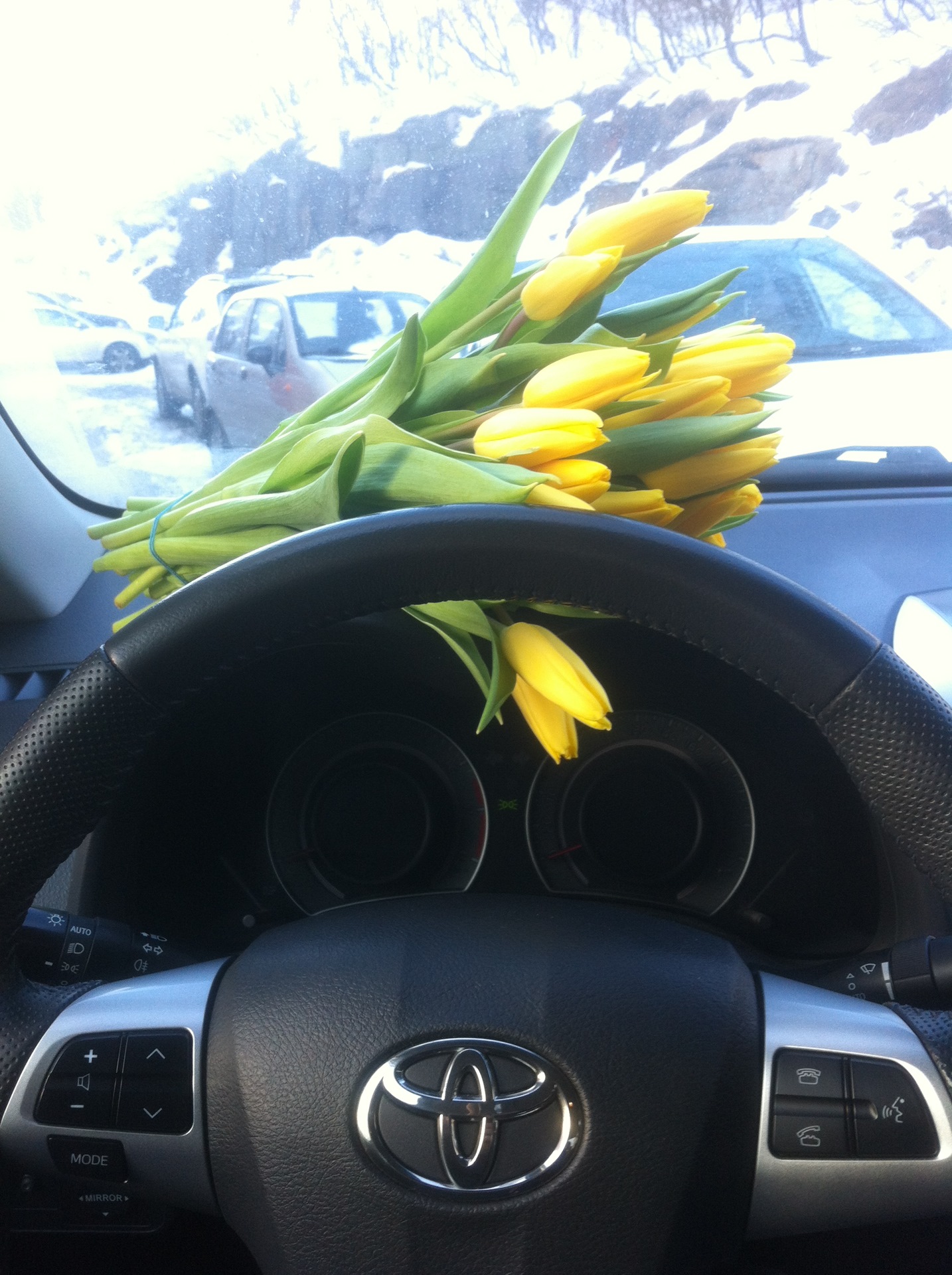 Тюльпаны в салоне машины