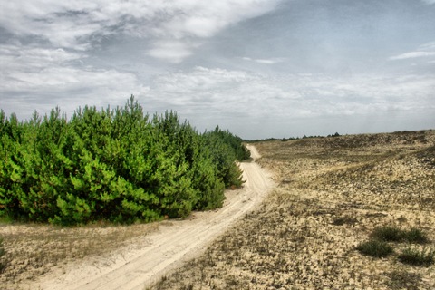 Фото в бортжурнале Mitsubishi L200 (4G)