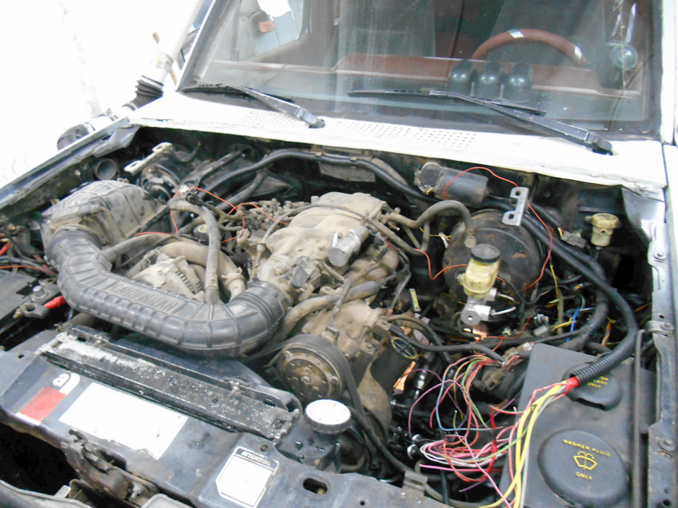 Фото в бортжурнале Ford Bronco (2G)