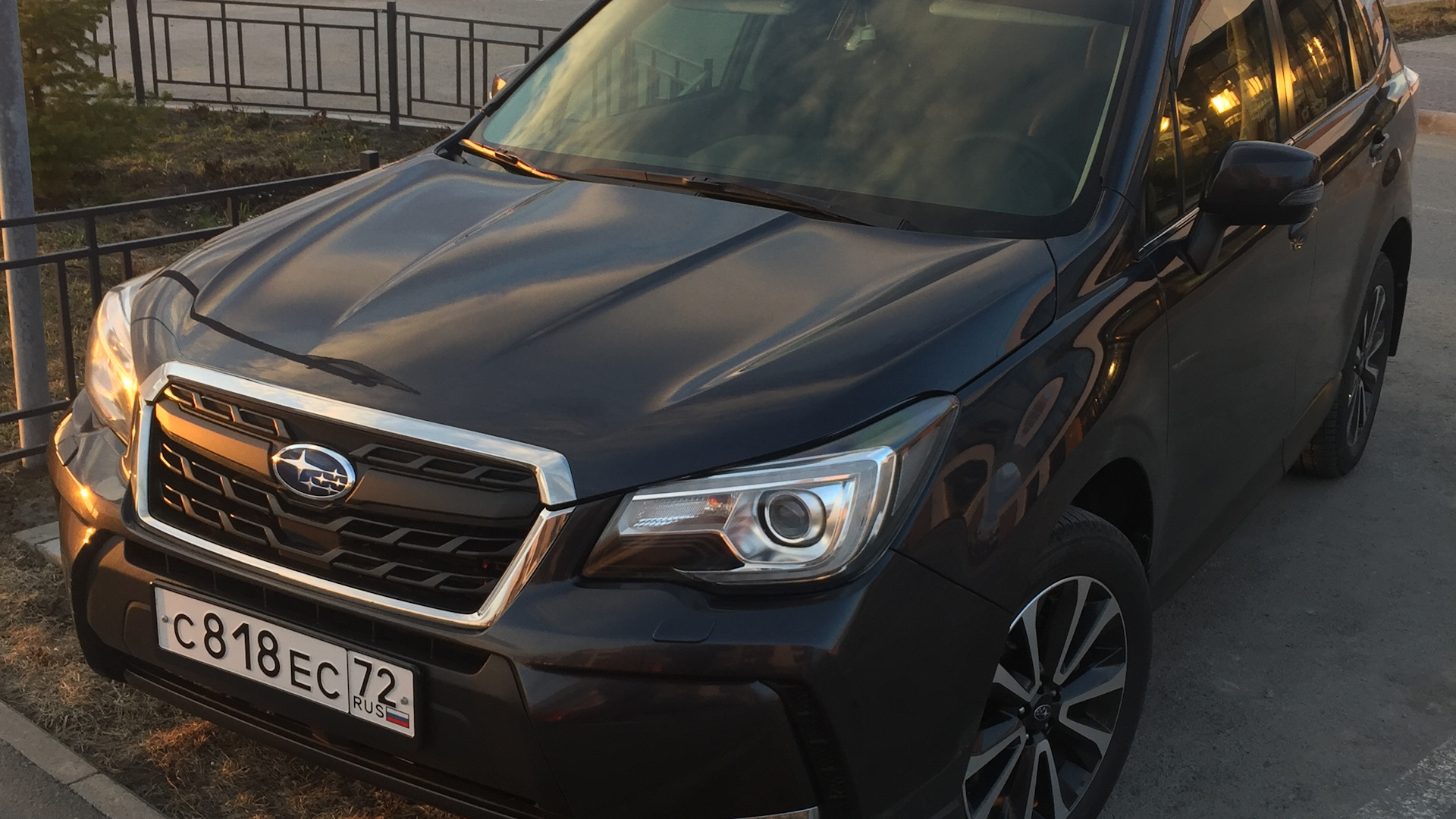 Subaru Forester (SJ) 2.0 бензиновый 2016 | ГРАФИТ v.2.0 XT на DRIVE2