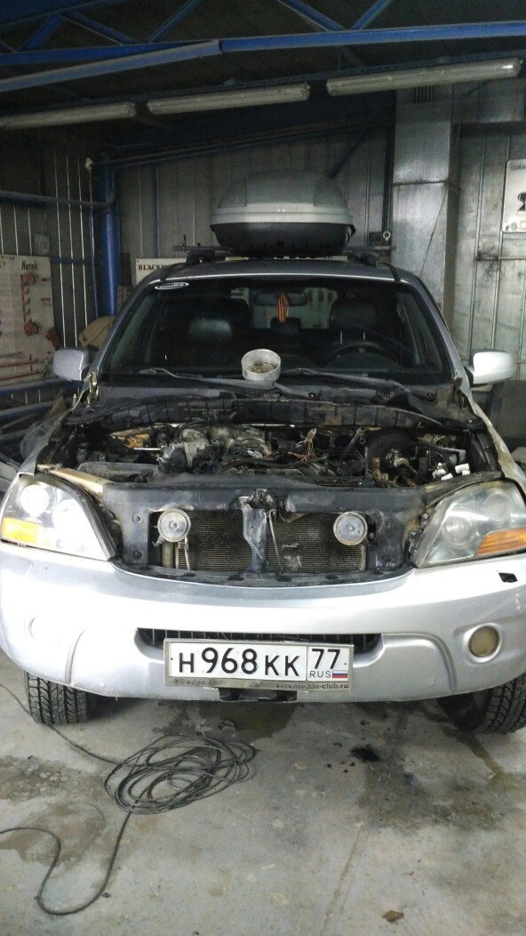 КоттЯ =) — KIA Sorento (1G)