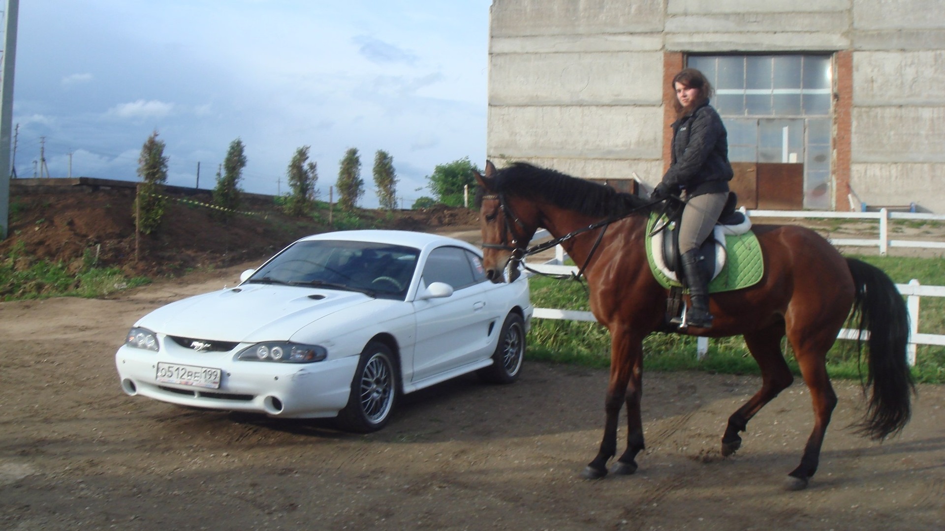 Ford Mustang (4G) 5.0 бензиновый 1995 | 5.0 на DRIVE2