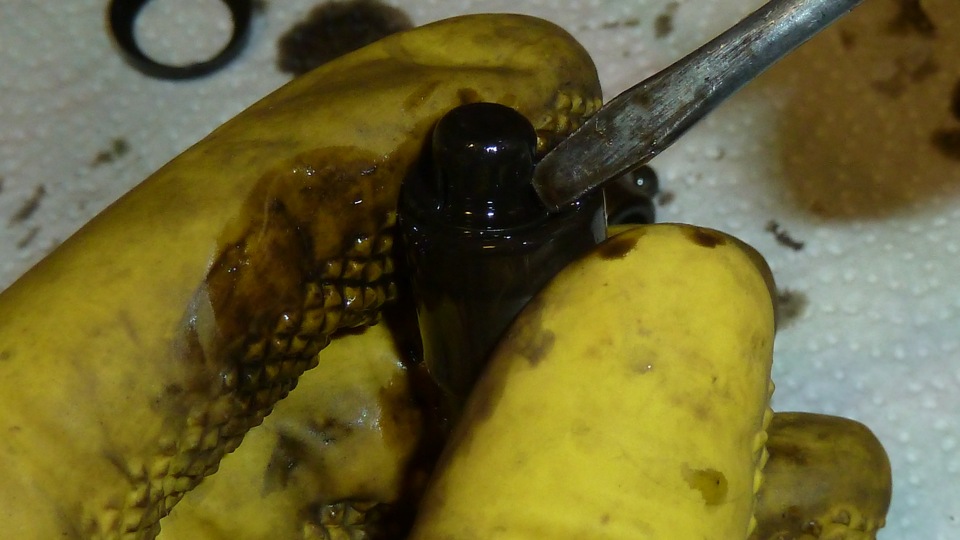 Фото в бортжурнале Opel Frontera A Basic