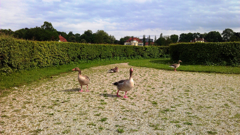 14052015 on a Trip to Nymphenburg castle Munich