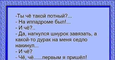 2 раз приходит. Анекдоты про шнурки. Анекдот пришла на ипподром. Анекдот нагибаться. Анекдот про чурок и крещение.