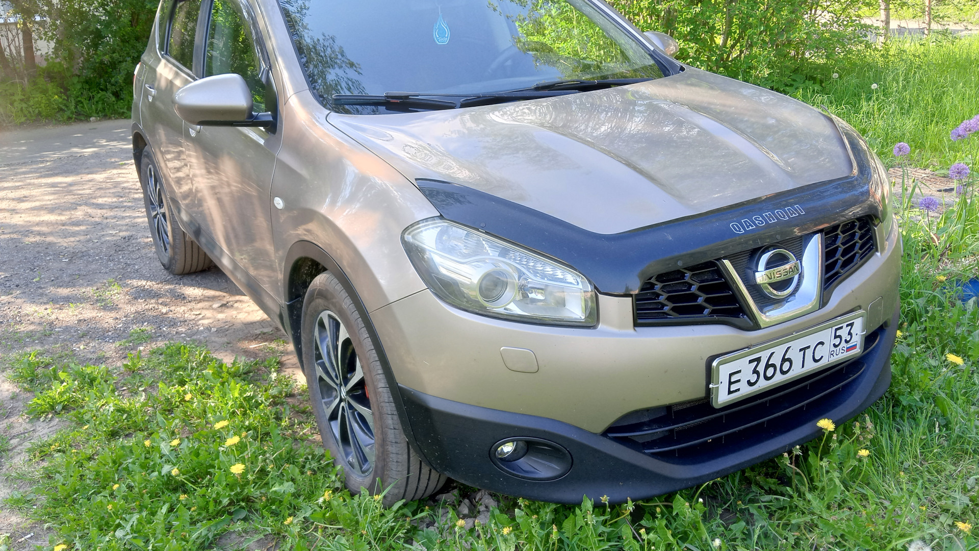 Nissan Qashqai (1G) 1.6 бензиновый 2010 | Бронзовая кошка на DRIVE2