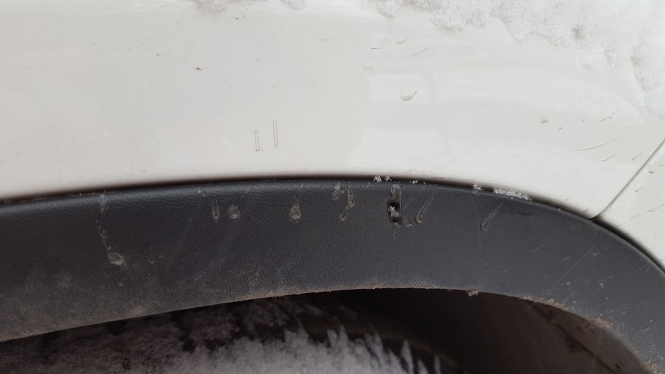 a2a415as 960 машину погрызли собаки что делать