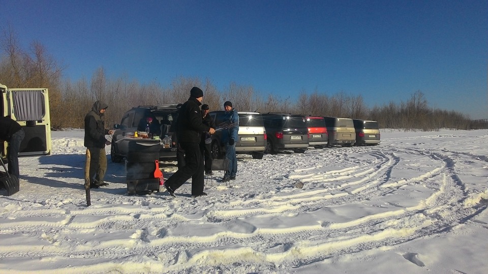 Фото в бортжурнале Honda Element