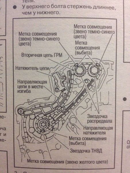 Гремит цепь ниссан навара