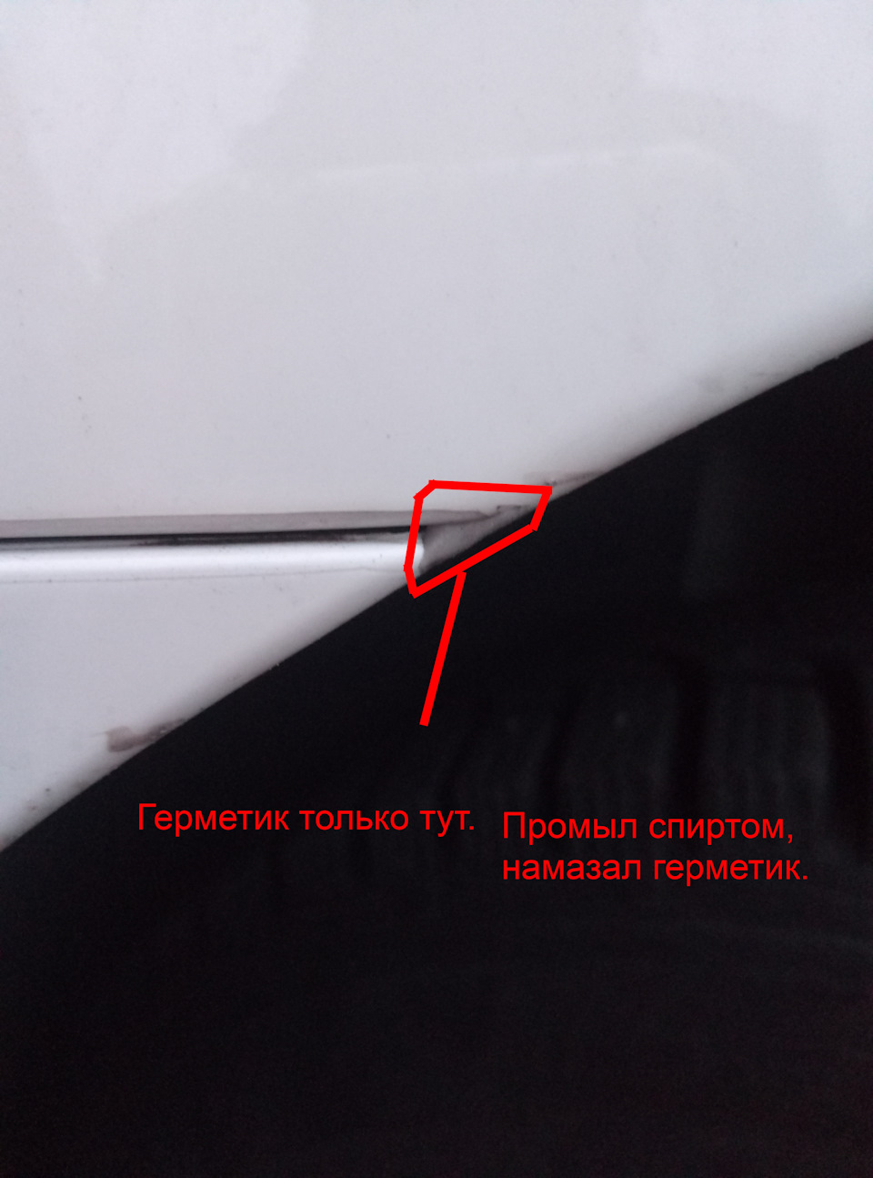 Фото в бортжурнале Skoda Octavia A7 Mk3