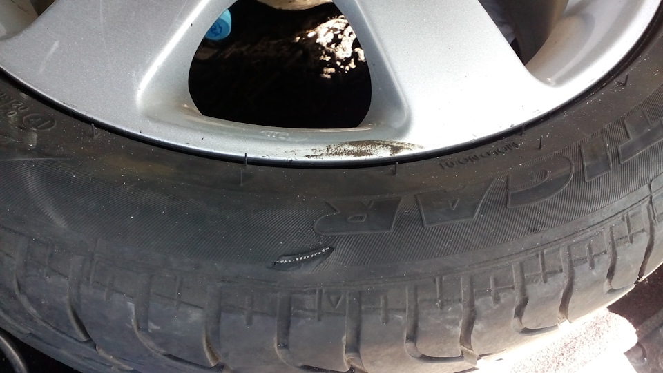 отзыв о резине Тигар Синерис — Mitsubishi Lancer IX, 2,4 л, 2004 года ...