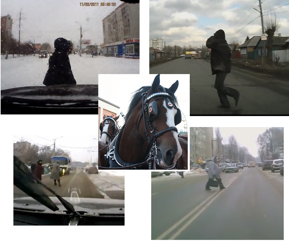 Скакали кони в капюшоне! — DRIVE2