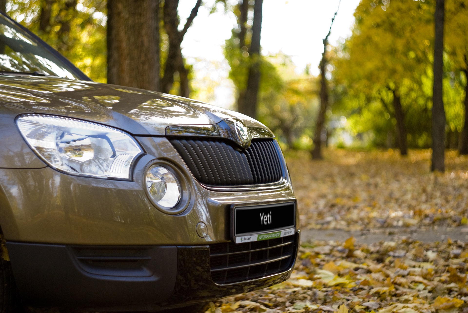 Фонари шкода йети. Шкода Дастер. Шкода Йети или Рено Дастер. Губа Skoda Yeti. Шкода Йети цвета кузова.