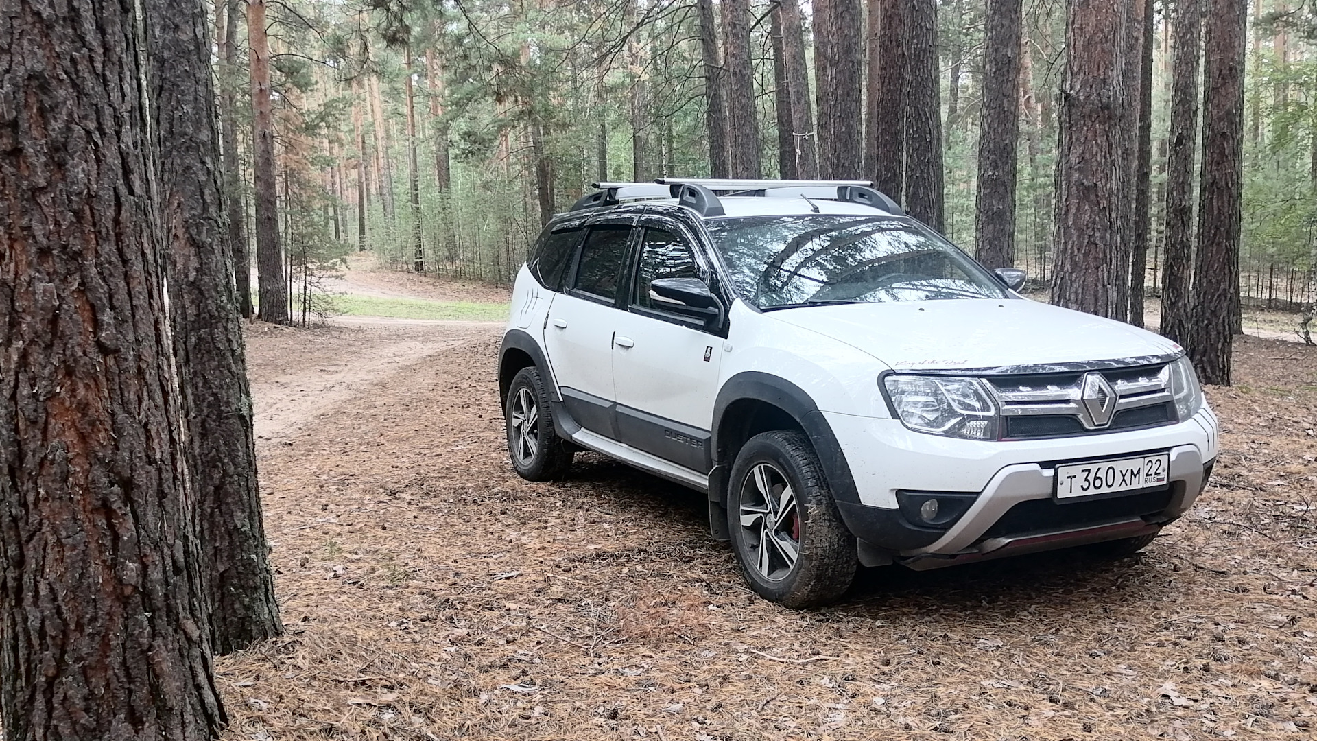 Renault Duster (1G) 2.0 бензиновый 2018 | Белый принц на DRIVE2