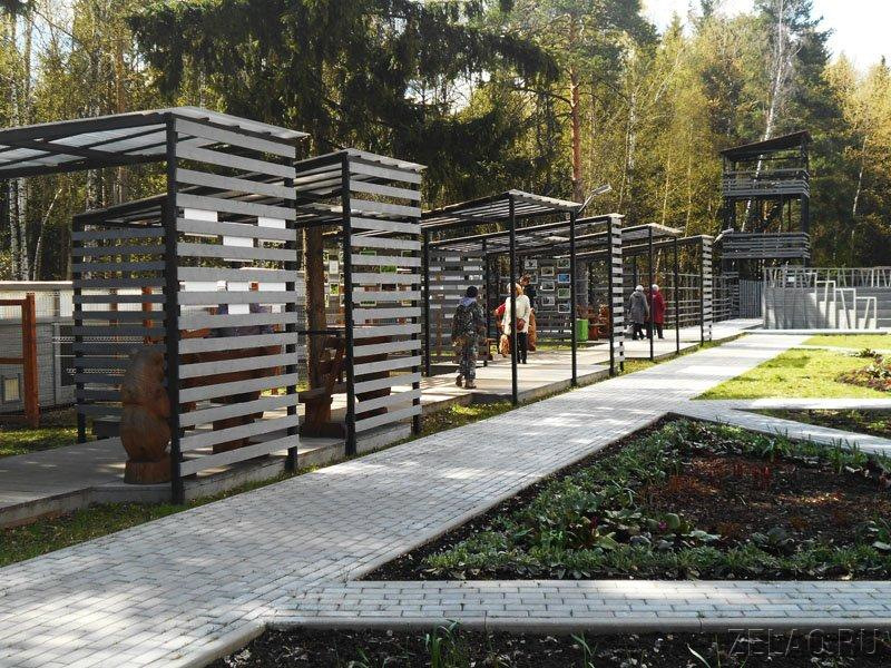 что посмотреть рядом с зеленоградом