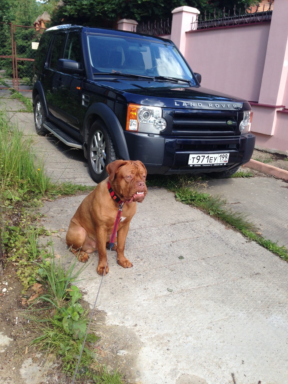 51- Добавил ленд ровер на сайт ) — Smart fortwo (1G), 0,7 л, 2004 года ...