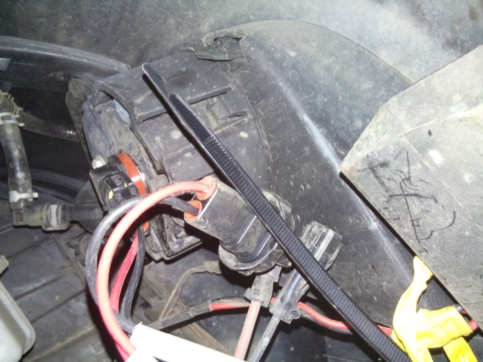 какая лампа в противотуманках ниссан тиида. Смотреть фото какая лампа в противотуманках ниссан тиида. Смотреть картинку какая лампа в противотуманках ниссан тиида. Картинка про какая лампа в противотуманках ниссан тиида. Фото какая лампа в противотуманках ниссан тиида какая лампа в противотуманках ниссан тиида. Смотреть фото какая лампа в противотуманках ниссан тиида. Смотреть картинку какая лампа в противотуманках ниссан тиида. Картинка про какая лампа в противотуманках ниссан тиида. Фото какая лампа в противотуманках ниссан тиида