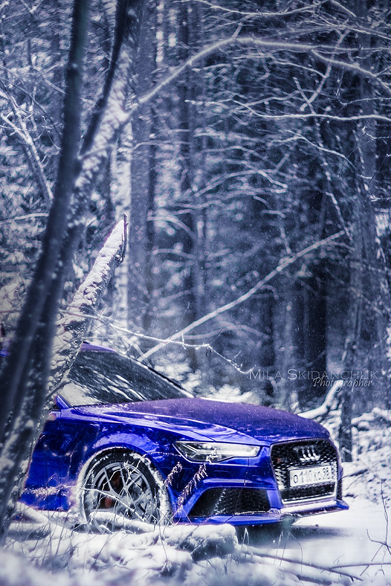 audi rs 6