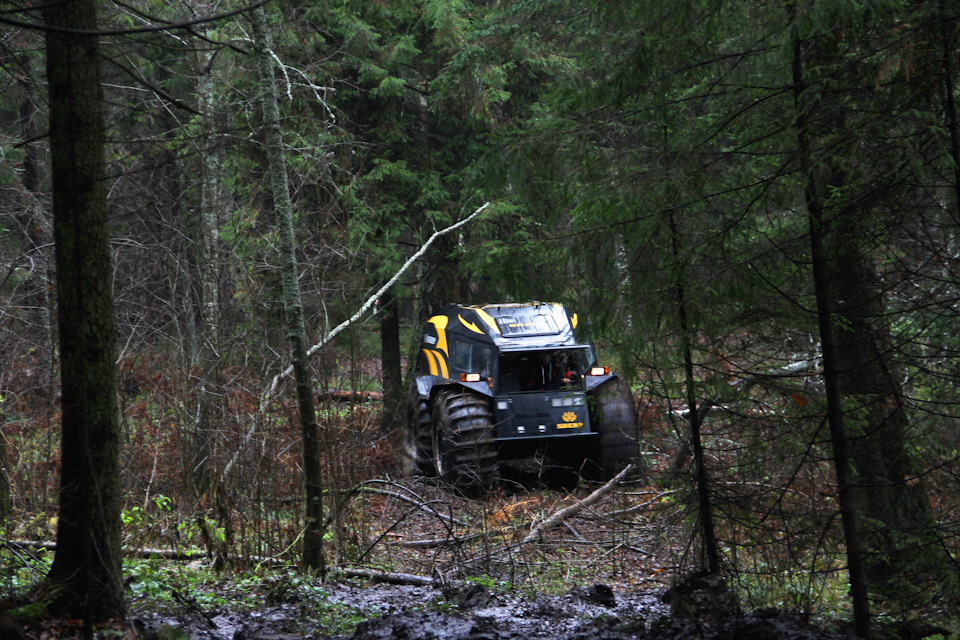За что посадили блоггера герасима шерпа. Смотреть фото За что посадили блоггера герасима шерпа. Смотреть картинку За что посадили блоггера герасима шерпа. Картинка про За что посадили блоггера герасима шерпа. Фото За что посадили блоггера герасима шерпа За что посадили блоггера герасима шерпа. Смотреть фото За что посадили блоггера герасима шерпа. Смотреть картинку За что посадили блоггера герасима шерпа. Картинка про За что посадили блоггера герасима шерпа. Фото За что посадили блоггера герасима шерпа