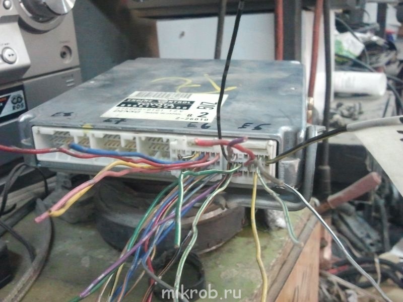 Как я нашёл поставщиков цветов Как я нашёл поставщиков цветов