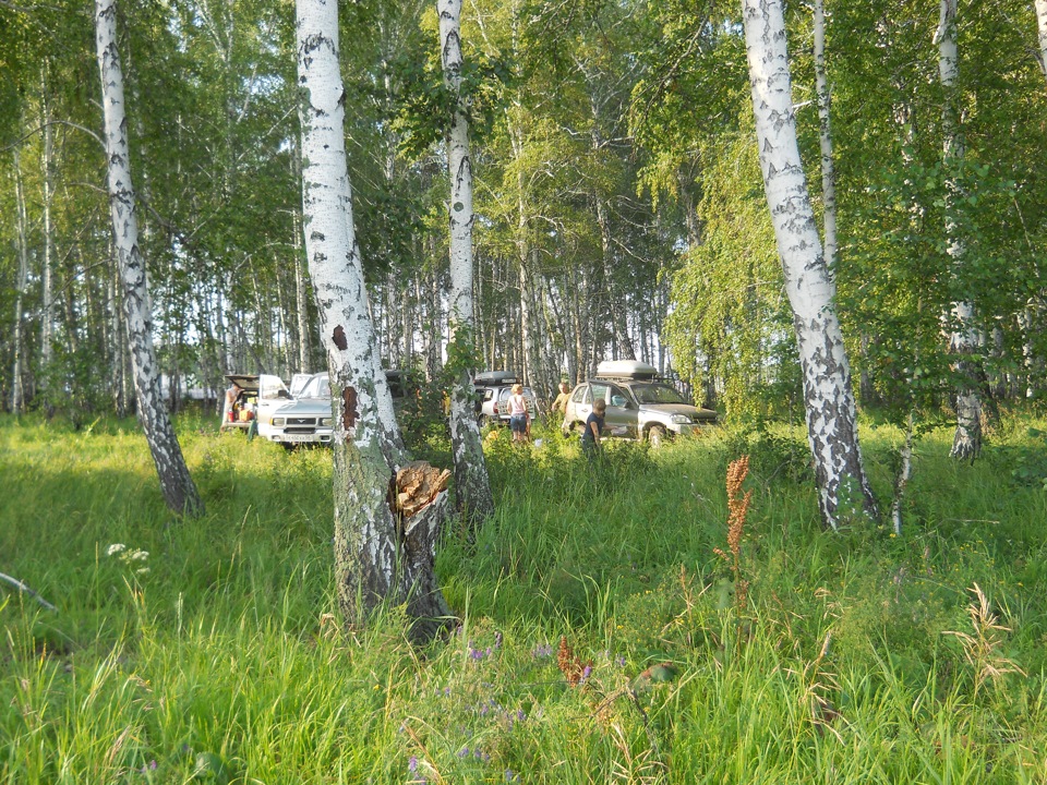 Photo from the logbook Mitsubishi L200 (4G)
