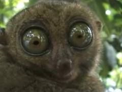 Фото в бортжурнале Land Rover Freelander 2 (L359)