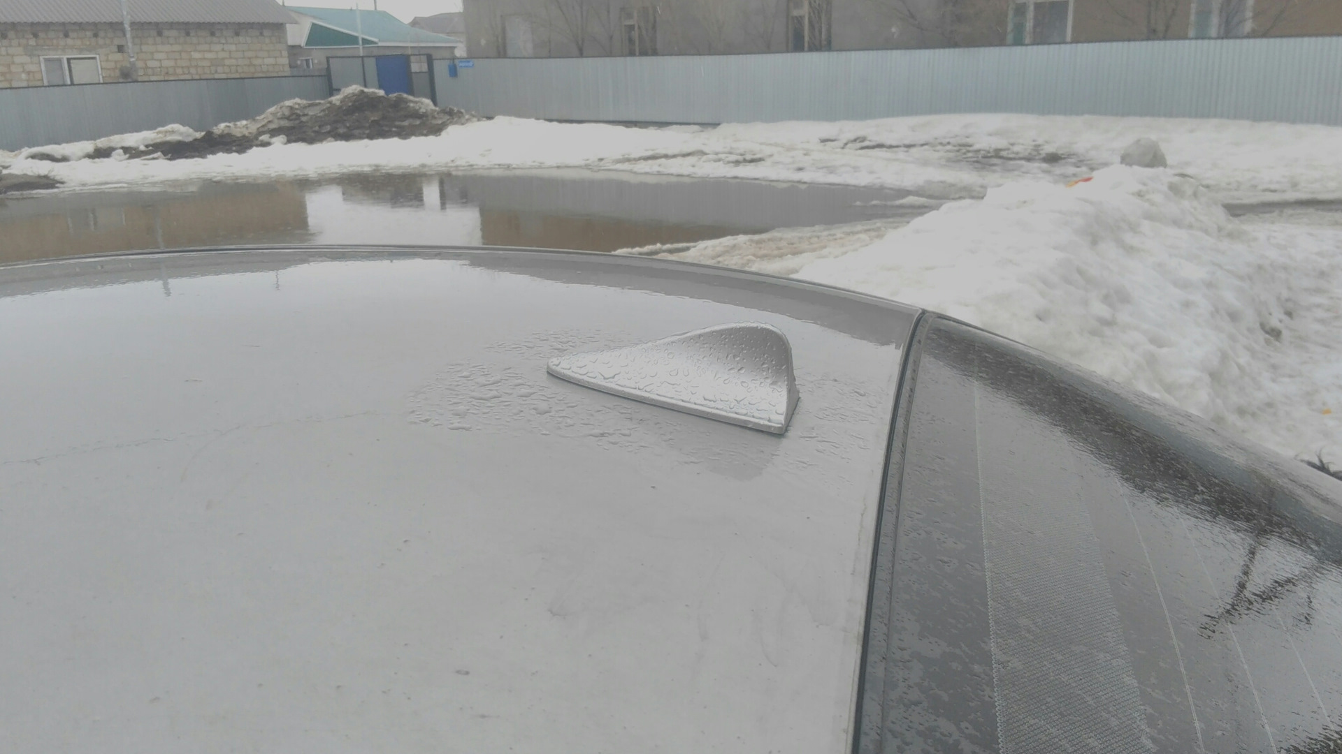 Плавник на крышу 🐟🚗 — Daewoo Leganza, 2 л, 2000 года | тюнинг | DRIVE2