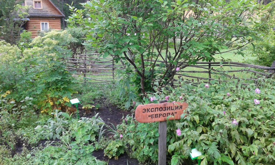 Тува — Горный Алтай: ч 3. Чемал — Каракольские озера — Горно-Алтайский ...