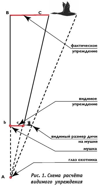 Схема стрельбы по гусю