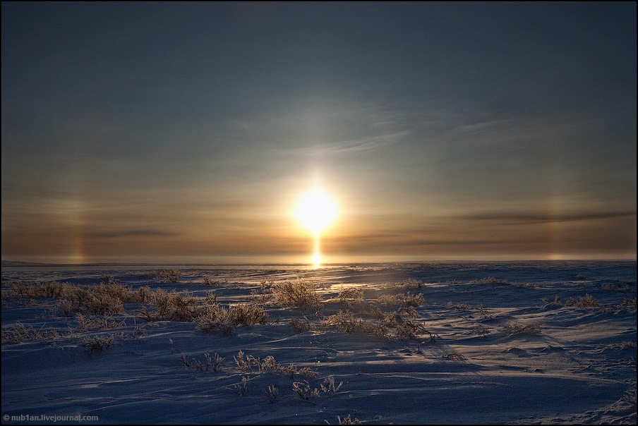 Солнечная тундра. Ямал Заполярье. Северный Полярный круг на Чукотке.