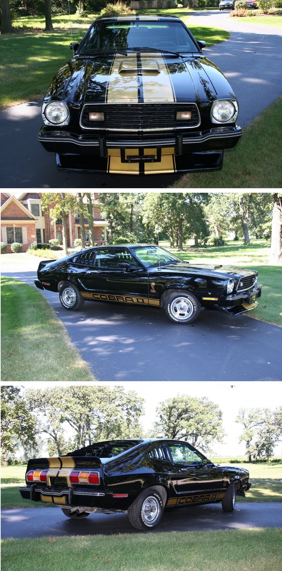 1977 Ford Mustang Cobra II — DRIVE2