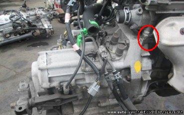 масло для двигателя honda d16a