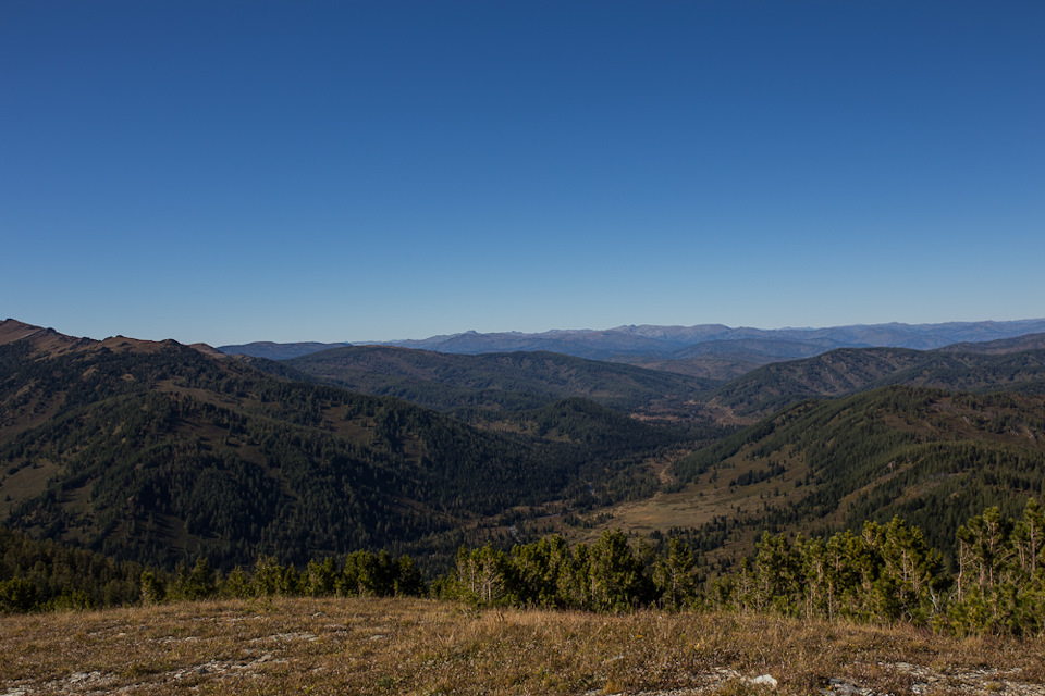 Фото в бортжурнале УАЗ Cargo