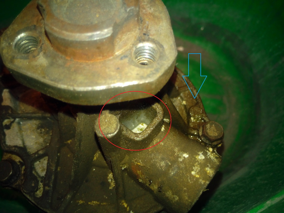 в какую сторону крутится помпа пассат б3. Смотреть фото в какую сторону крутится помпа пассат б3. Смотреть картинку в какую сторону крутится помпа пассат б3. Картинка про в какую сторону крутится помпа пассат б3. Фото в какую сторону крутится помпа пассат б3 в какую сторону крутится помпа пассат б3. Смотреть фото в какую сторону крутится помпа пассат б3. Смотреть картинку в какую сторону крутится помпа пассат б3. Картинка про в какую сторону крутится помпа пассат б3. Фото в какую сторону крутится помпа пассат б3