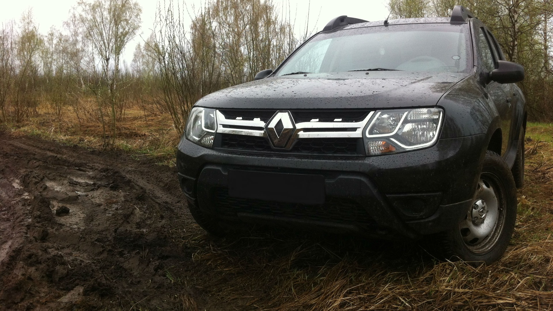 Renault Duster (1G) 2.0 бензиновый 2015 | Кабан на DRIVE2