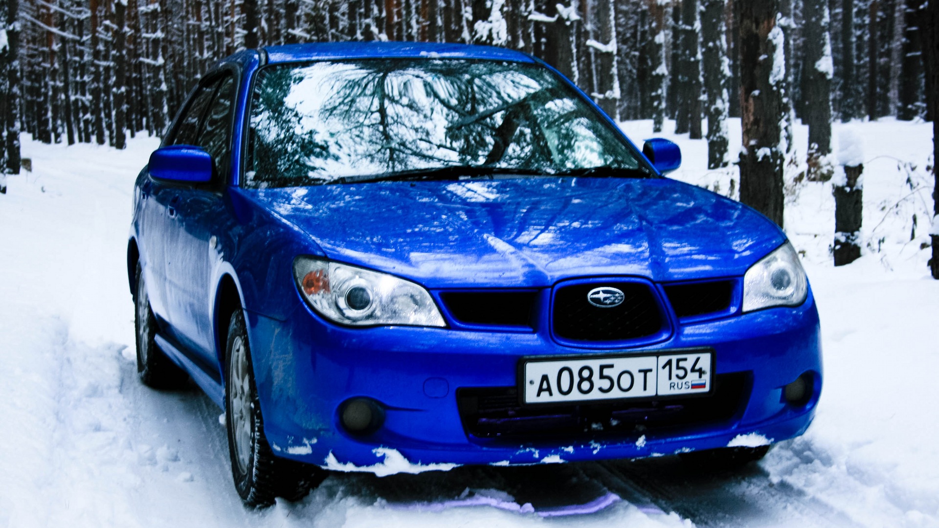 Купить субару в нижнем новгороде. Субару зимой. Субару леса. Subaru в лесу. Субару Импреза синий Лис драйв2.