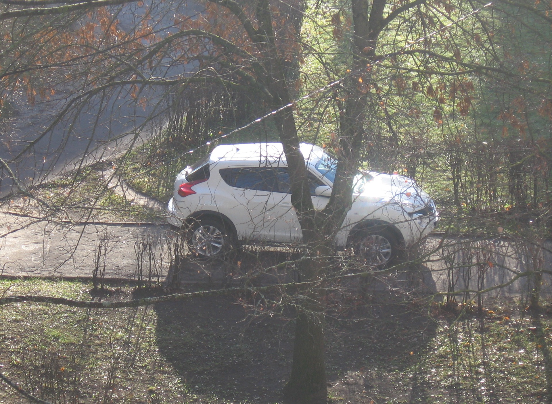 Продолжаю рассказывать о JUKE-e — Nissan Juke (1G), 1,6 л, 2010 года |  наблюдение | DRIVE2