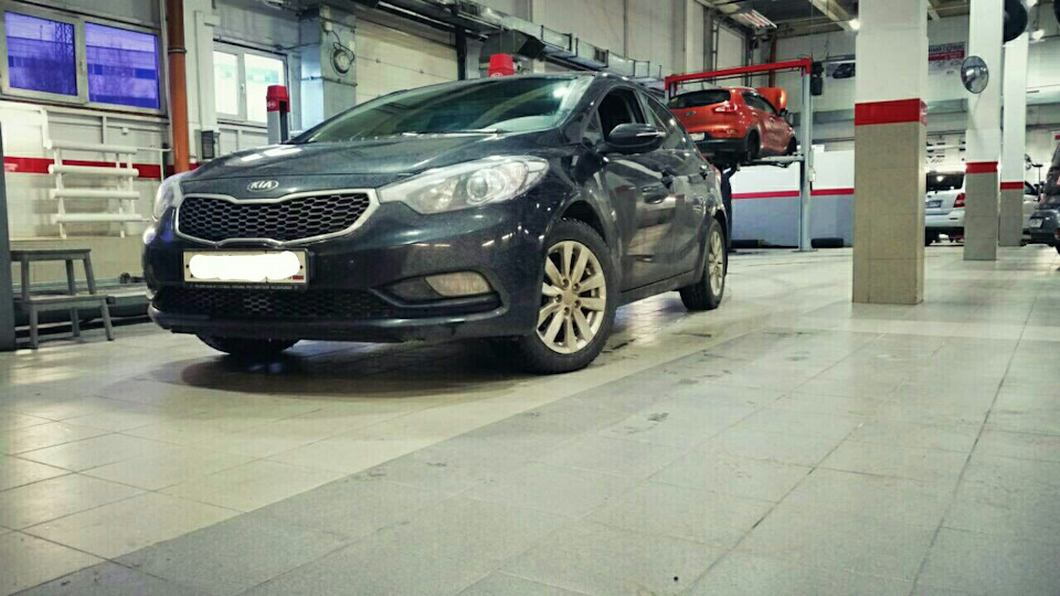 Гарантия шкиф, фильтр бензонасоса и проводка к нему — KIA Cerato (3G ...