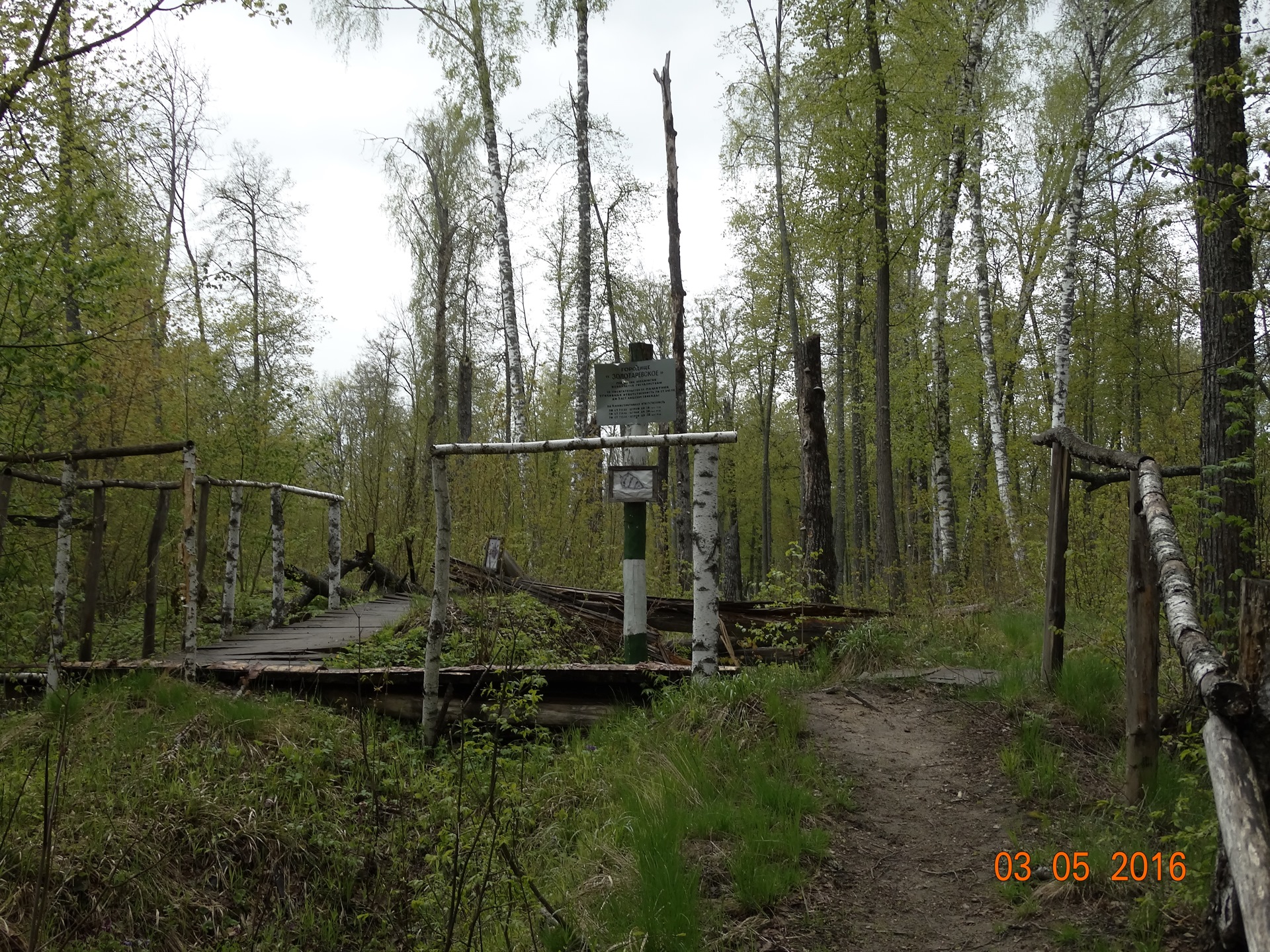 Золотаревское городище фото