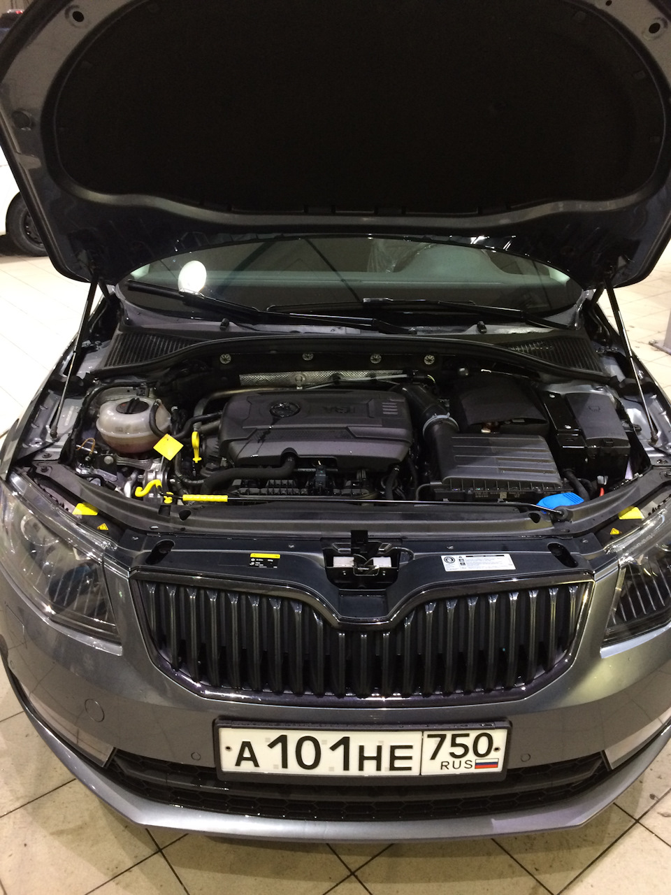 Фото в бортжурнале Skoda Octavia A7 Mk3