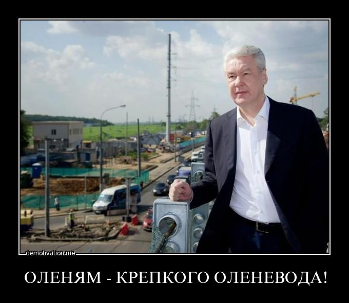 Собянин сын ельцина факты фото
