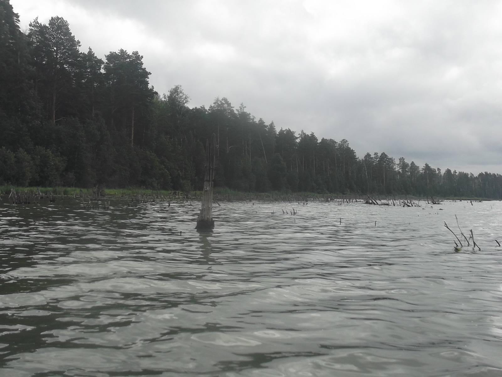 Щучье озеро Вологодская область