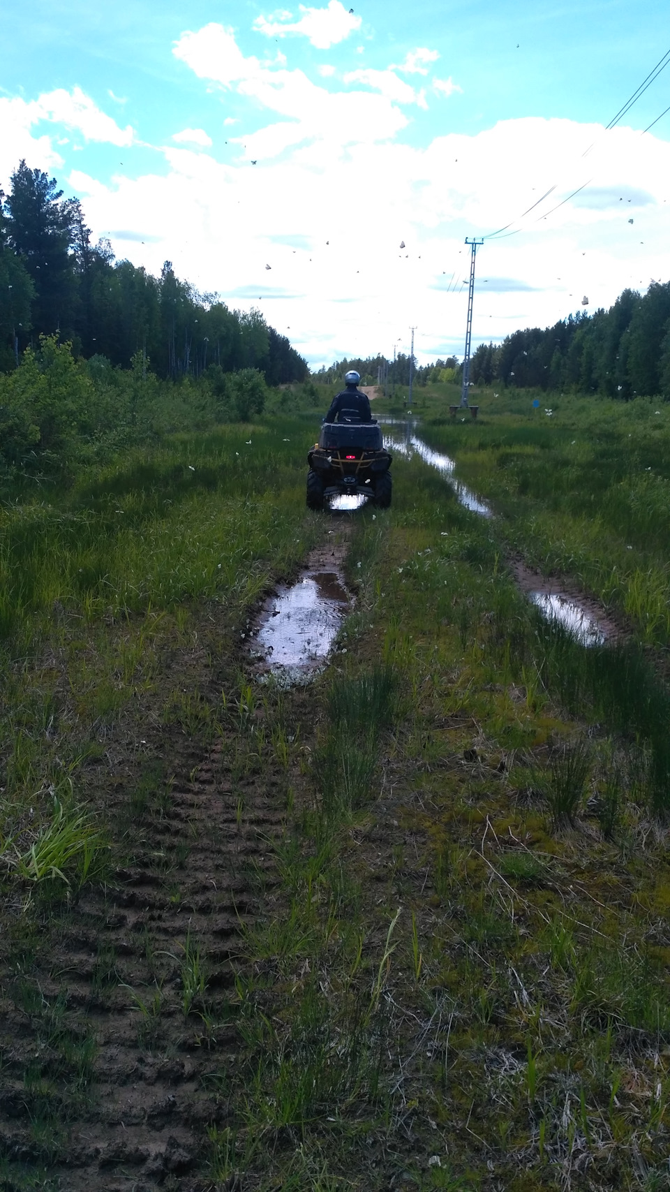 Фото в бортжурнале Suzuki Escudo (1G)