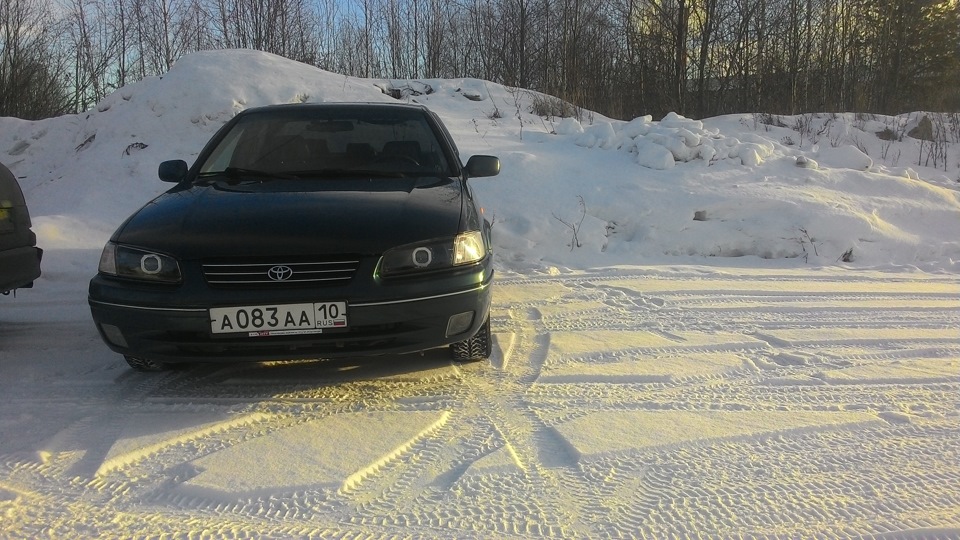 билинзы в фары — Toyota Camry (XV20), 3 л, 1999 года | тюнинг | DRIVE2