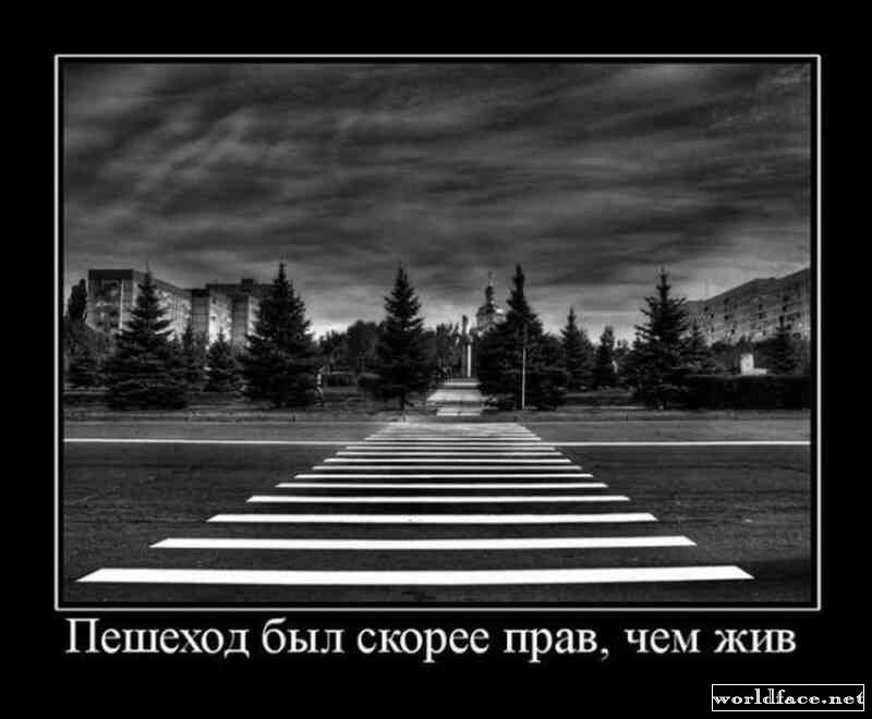 Всегда живой. ПДД демотиваторы. Пешеход демотиватор. Пешеход всегда прав демотиватор. Пешеход был скорее прав чем жив.